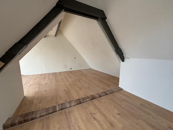 WhatsApp Image 2026-02-03 at 14.24.32 (17).jpeg